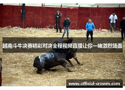 越南斗牛决赛精彩对决全程视频直播让你一睹激烈场面 越南斗牛决赛精彩对决全程视频直播让你一睹激烈场面